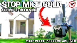 EASY WAY to Get Rid of Mice in Your House FOREVER - No More Mousetraps!