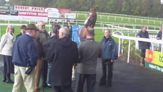 Welsh national winner Dream Alliance on Parade at Chepstow: A real star