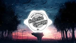 Collective Synergy No.73 | Melodic / Progressive House Music | DJ Session | 2024