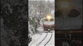 Kalka Shimla Toy Train in snowfall #shorts #youtubeshorts