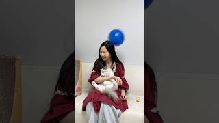 네자매 장녀는 어디까지 참아줄까요?ㅋㅋㅋㅋㅋㅋ