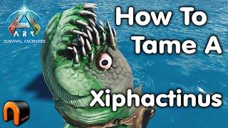 ARK How To Tame A Xiphactinus - With Good Trap!