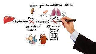 Pharmacology - HYPERTENSION & ANTIHYPERTENSIVES (MADE EASY)