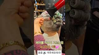 보브컷 헤어롤 찍찍이 고르는법 요고에요#사모님머리#파마#컷트#사모님파마 #드라이#보브컷#보브단발 #스타일링#뷰티#여자머리#여자머리추천#헤어스타일#헤어#hair#cut#shorts