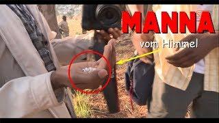 Das MANNA Wunder aus Angola