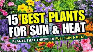  SUN & HEAT WARRIORS! 15 Best Plants That Thrive in Full Sun & Scorching Heat 