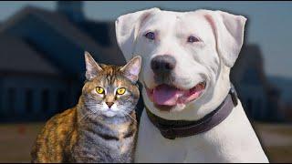 A Cute Lil' Dumplin! - Pets of the Week