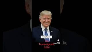 The Trump 2024 Agenda