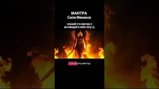 Мантра сила Феникса в описании #сила #феникс #воин #мотивация #душа #творец #цель #мощ