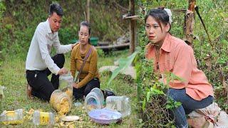 A strange girl comes to destroy Sai's house - Harvest beans and sell in 5 minutes l Lý Thị Sai