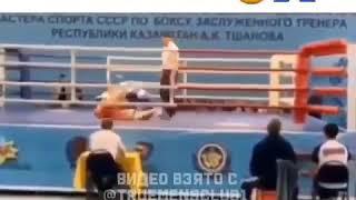 Очень смешные бокс видео