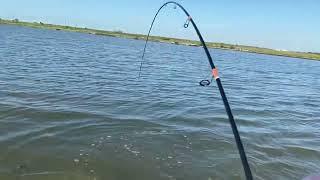 Kayak fishing in south padre island tx using stoic outdoors bay villain!!!!