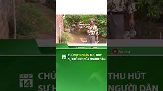 Kỳ lạ chú vịt 3 chân hiếm thấy| VTC14 #shorts