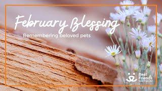 February 2025 Blessing from Angels Rest for Beloved Pets 