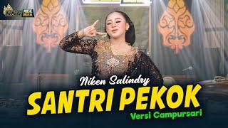 Niken Salindry - Santri Pekok  - Kembar Campursari (Official Music Video)