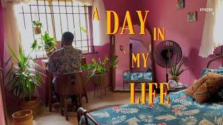 Life at 35 with 500 plants : watering day, book and decor shelf tour, slow living and gardening