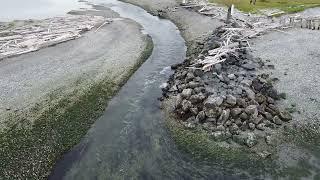 Sandy Point Marina entrance at record low tide. (Full Version)