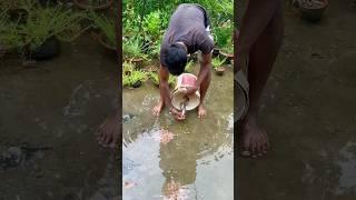 Chhat ke uppar main keu machli chora(308) hindi village fishing video #villagefishing