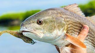 Fishing OYSTER BARS: How To Catch Redfish, Flounder, & Trout Near Oyster Bars