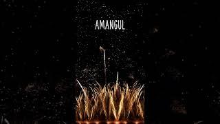 BON ANNIVERSAIRE AMANGUL !