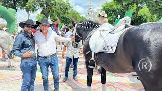 Desfile hípico en Esquipulas Chiquimula @yosoytiogil502guate