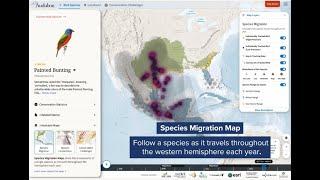 National Audubon Society Bird Migration Explorer