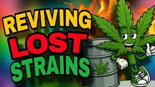 Growing Unique Cannabis Strains: How to Bring Back the Legends