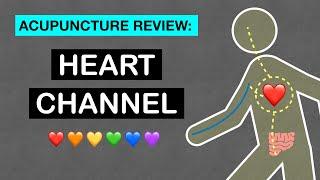 Points Review: Heart Channel Acupuncture Meridian