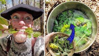 Je me Nourris de Plantes Sauvages | (reconnaître facilement 4 plantes) BUSHCRAFT & SURVIE