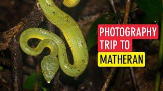 Matheran Macro Photography Vlog (Complete Matheran travel and photography guide) | Sonika Agarwal