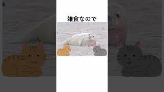 自然界の現実【知るとショックな雑学】