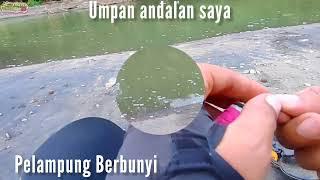 Keseruan Warga kampung Motongkat Boltim Menjaring ikan dan solusi Mancing di Spot yang Baru Dijaring