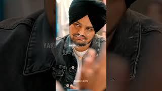 #punjabisong #newsong #song #punjabi #music #lyrics #edit #blonde #funny #comedy