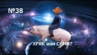 №38 | Какой смысл держать ХРЯКОВ?