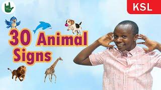 EP. 15 WILD ANIMALS IN KENYAN SIGN LANGUAGE (KSL)