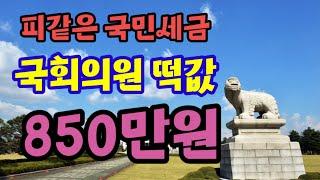 피같은 국민세금 국회의원 떡값 850만원