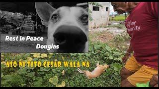 Run free douglas | Aso ni Tito Cesar wala na