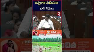 AP Budget 2025 | Minister Payyavula Keshav | CM Chandrababu | AP Assembly | RTV