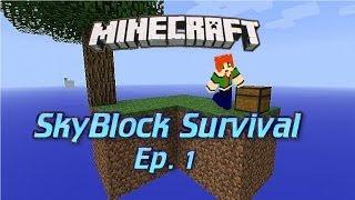 Lets Play - SkyCarrot! Ep.1