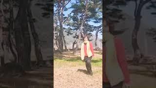 살랑살랑 흔들어봐용‍️‍️ #찔레꽂        #가수이세연 구독과 좋아요는 사랑임니다^^
