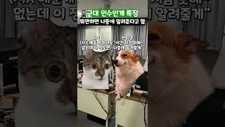 군대 인수인계 특징 #shorts #군대