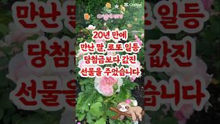 [감동사연] 20년 만에 만난 딸, 로또보다 값진 선물의 정체