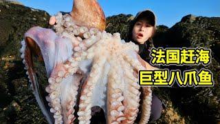 France catching giant octopus, catching big crabs, making spicy fried seafood! | Octopus | Crabs |