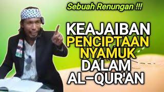 Keajaiban penciptaan nyamuk tersebut dalam Al-qur'an | Abiya Jeunieb