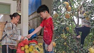 18 year old single mother: picking grapefruit to sell and everyday life