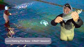 Bass MADNESS in September! - Lure Fishing For Bass and reel EXPLODED!