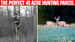 Small hunting property? 3 secrets for BIG BUCK success!