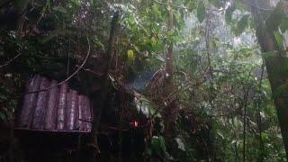 Solo Bushcraft, Living in the middle of a cliff, hit by heavy rain, thunder and lightning