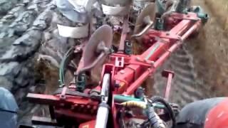 MOV028