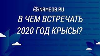 В чем встречать 2020 год Крысы?